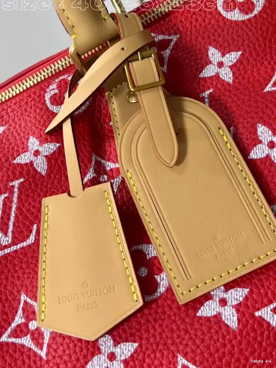 SPEEDY 40 Louis Vuitton 0610